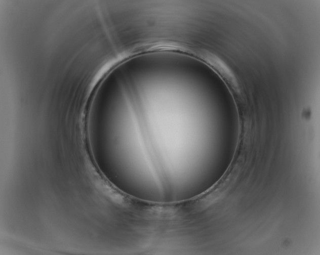 X0000093261190200709261725