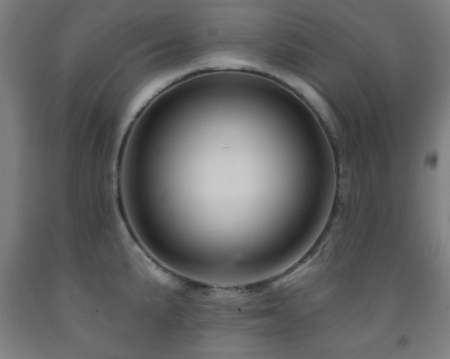 X0000093261191200709261725