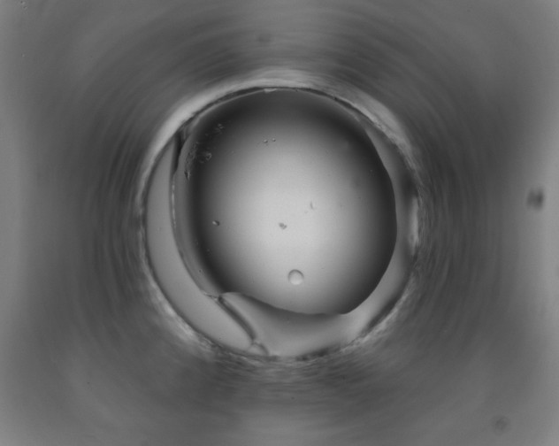 X0000093261192200709261725