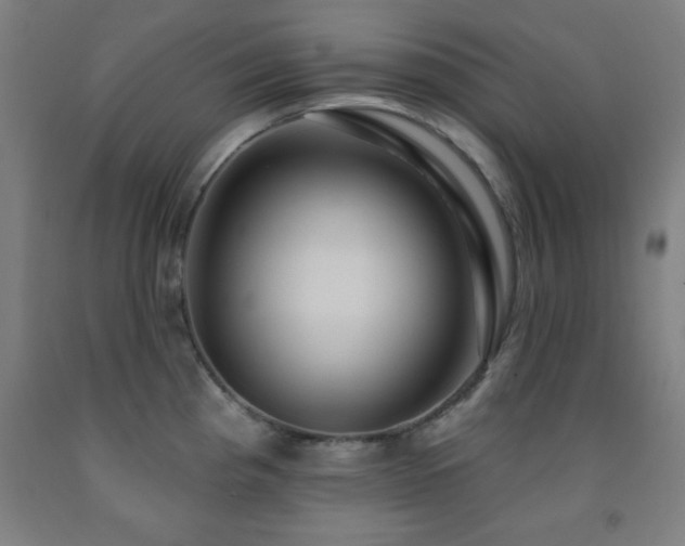 X0000093261193200709261725