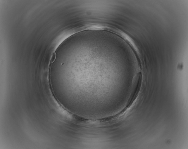 X0000093261194200709261725
