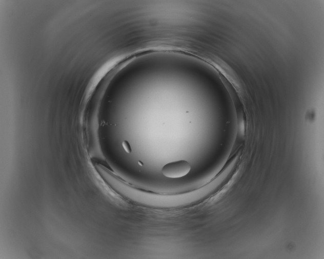X0000093261196200709261725
