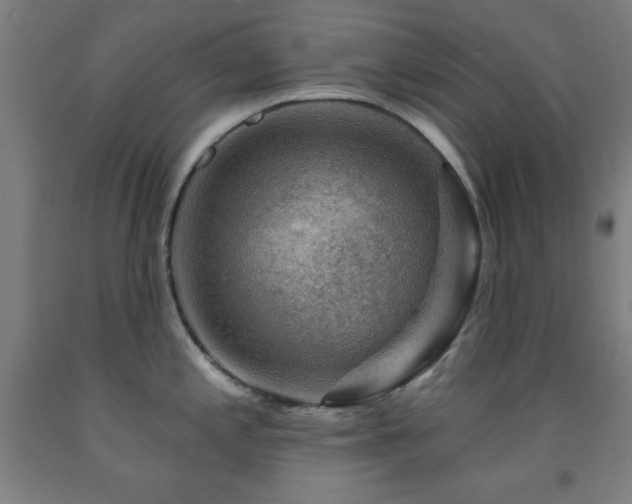 X0000093261197200709261725