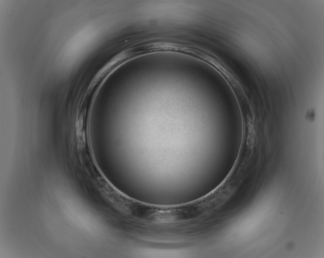 X0000093261198200709261725