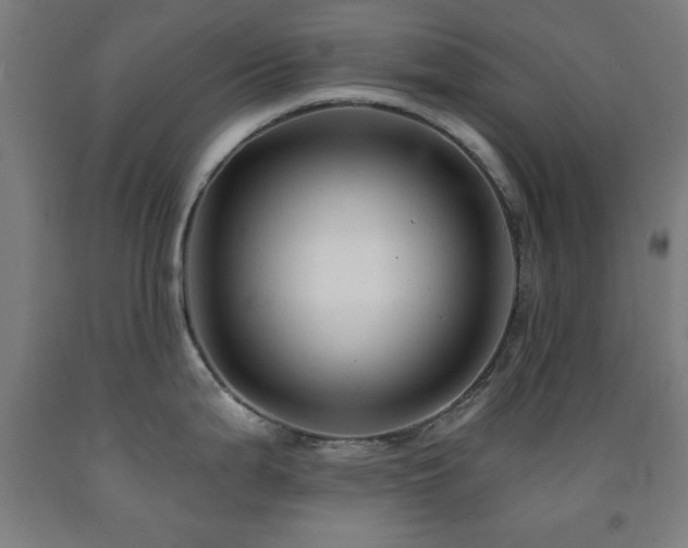 X0000093261199200709261725