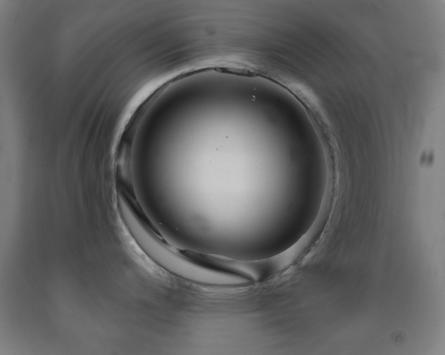 X0000093261200200709261725