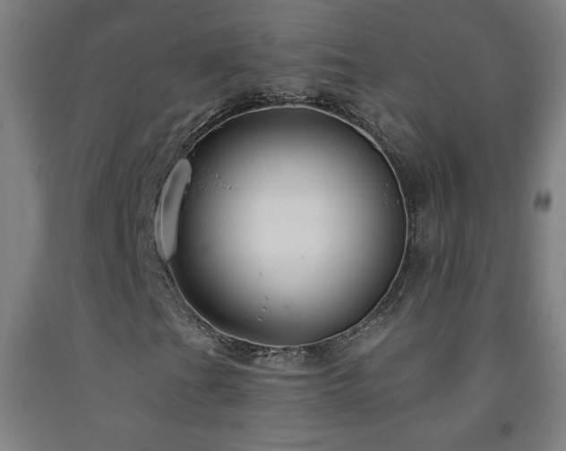 X0000093261201200709261724