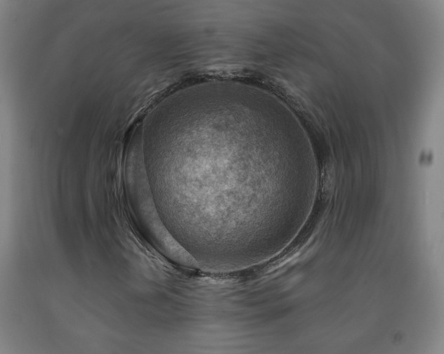X0000093261202200709261724