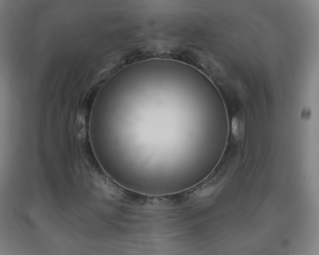 X0000093261203200709261724