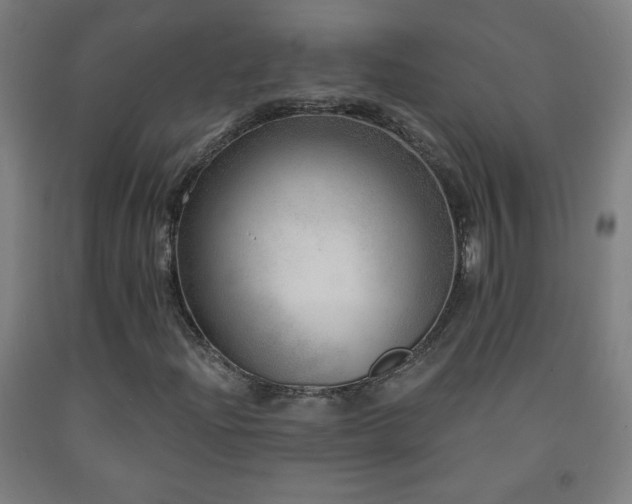 X0000093261204200709261724