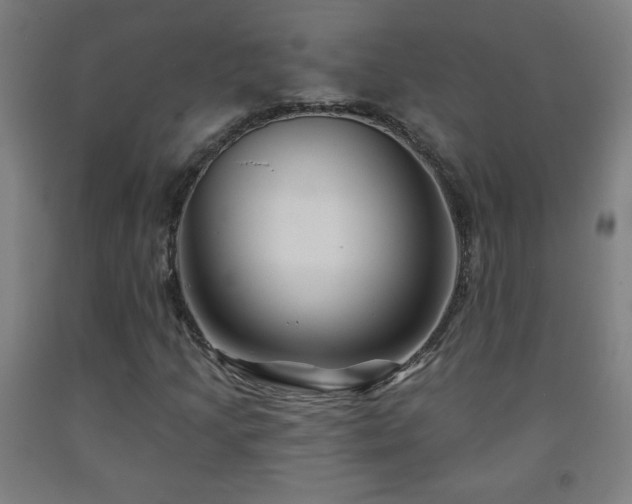 X0000093261205200709261724