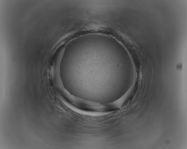 X0000093261206200709261724