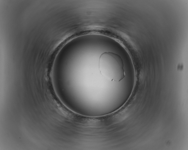 X0000093261209200709261724