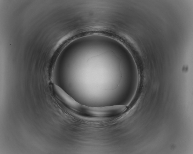 X0000093261210200709261724