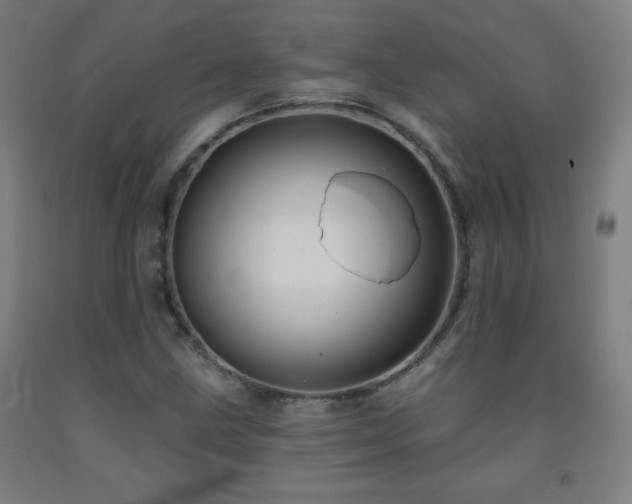X0000093261211200709261724