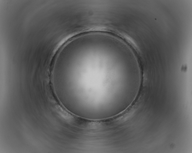 X0000093261212200709261724