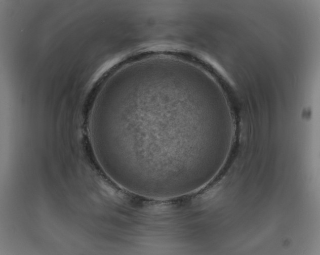 X0000093261213200709261724