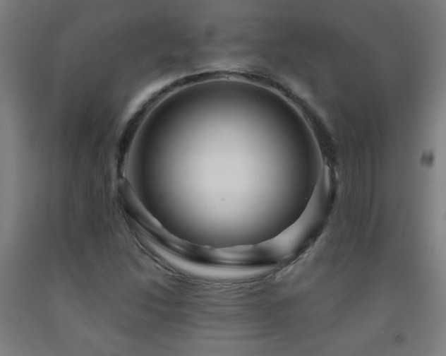 X0000093261214200709261724