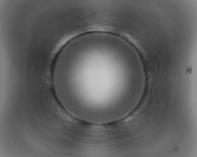 X0000093261215200709261724