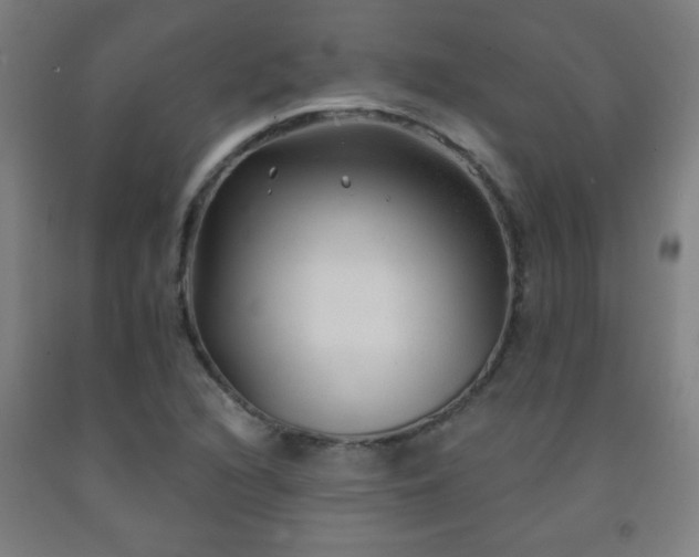 X0000093261216200709261724