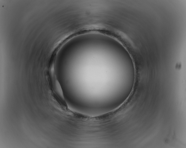 X0000093261217200709261724