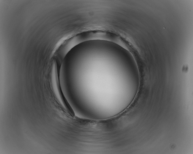 X0000093261218200709261724