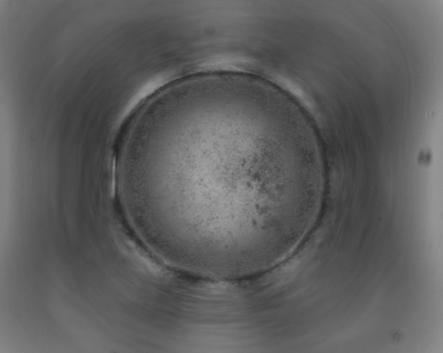 X0000093261219200709261724