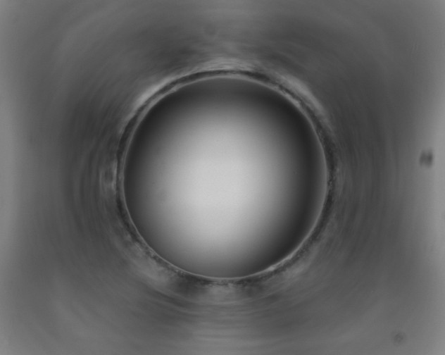 X0000093261220200709261724