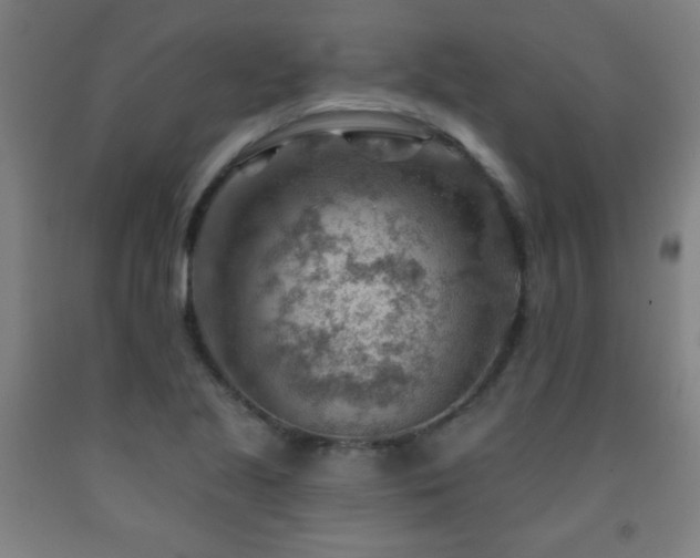 X0000093261221200709261724