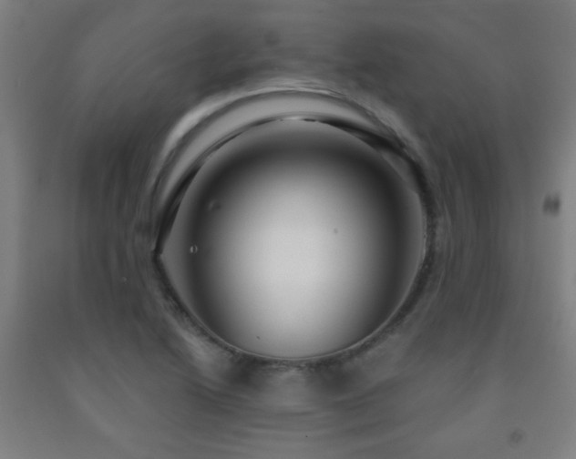 X0000093261222200709261724