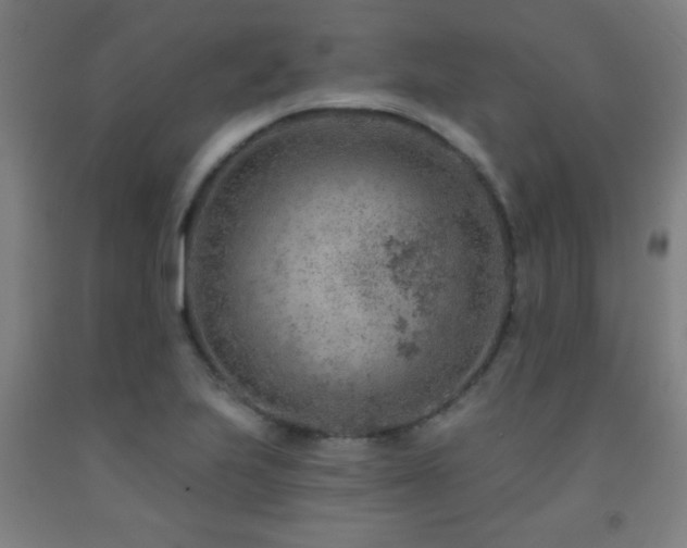 X0000093261223200709261724