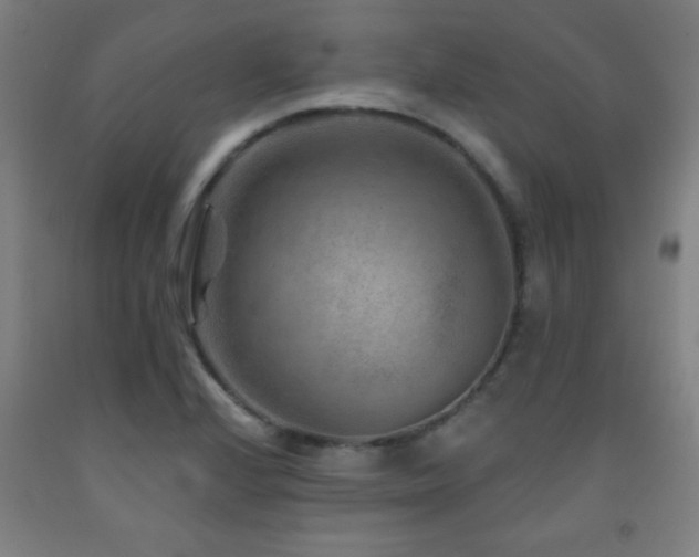 X0000093261224200709261724