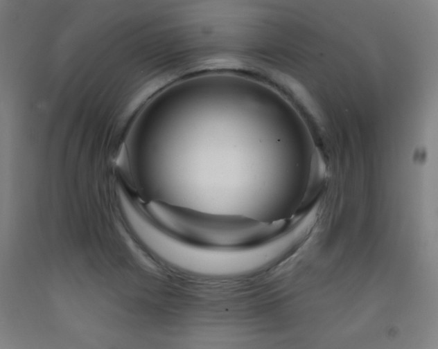 X0000093261225200709261724