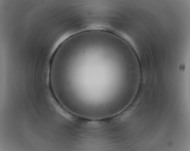 X0000093261227200709261724