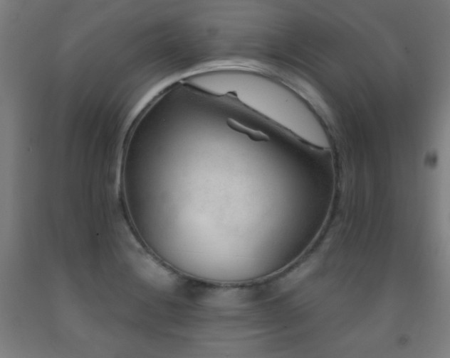 X0000093261228200709261724