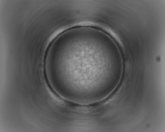 X0000093261229200709261724