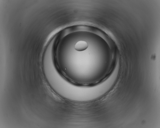 X0000093261230200709261724