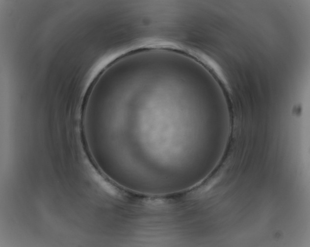 X0000093261231200709261724