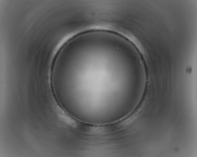 X0000093261232200709261724