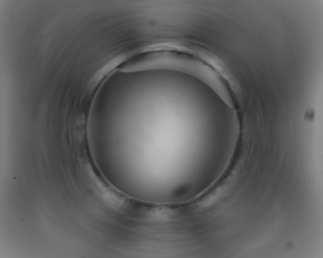 X0000093261233200709261724