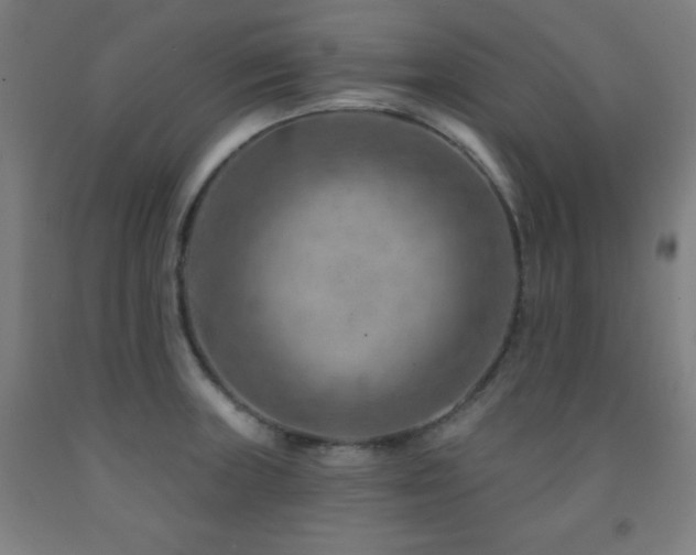 X0000093261235200709261725