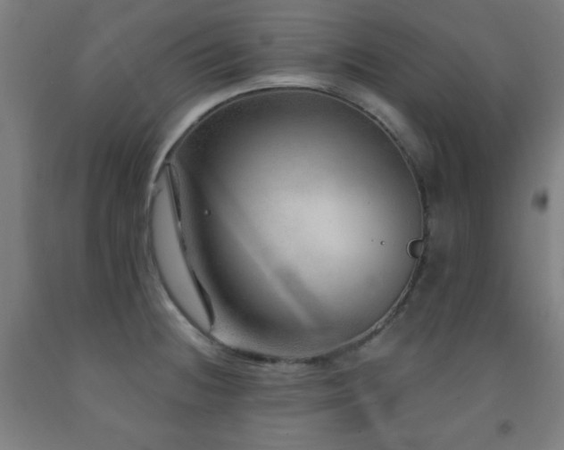X0000093261236200709261725
