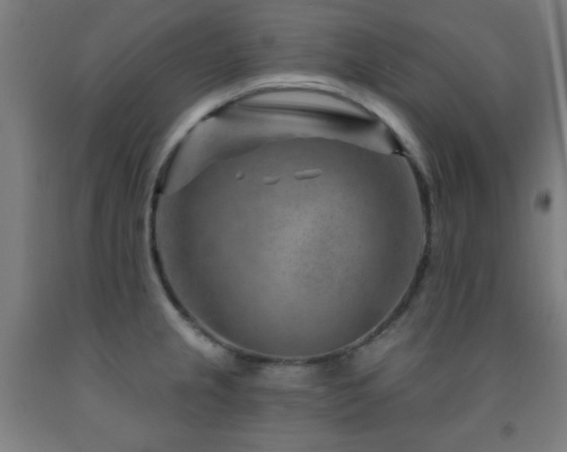 X0000093261237200709261725
