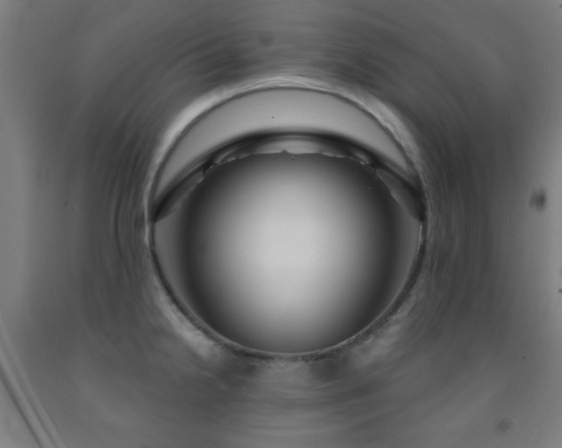 X0000093261238200709261725