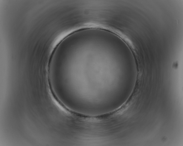 X0000093261239200709261725