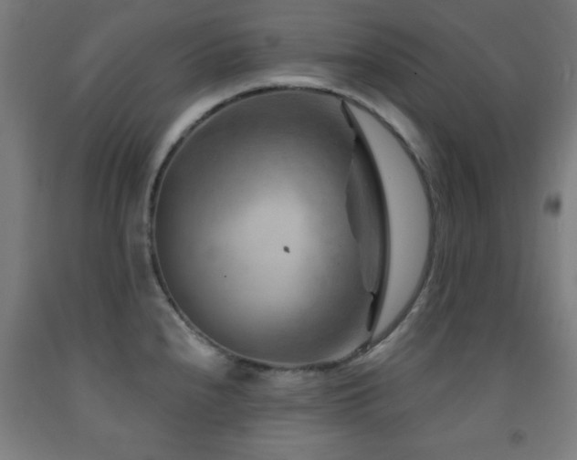 X0000093261240200709261725