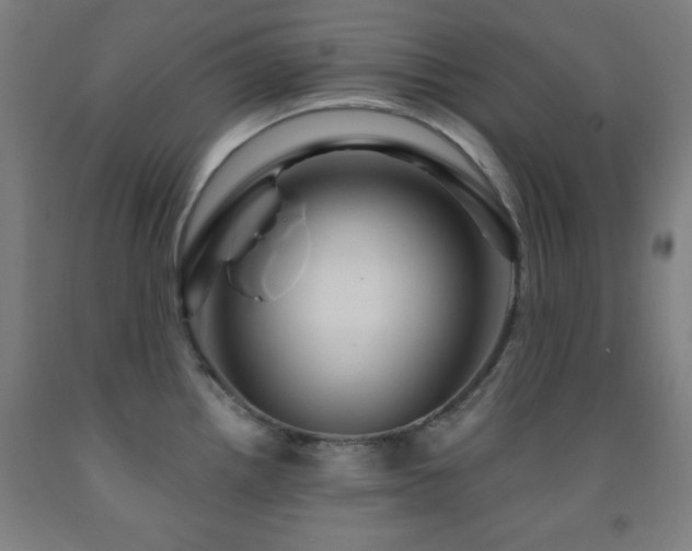 X0000093261242200709261725