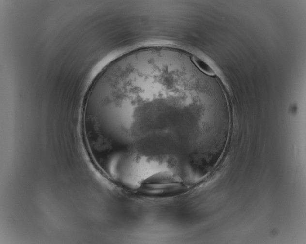 X0000093261245200709261725