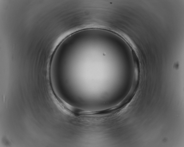 X0000093261246200709261725
