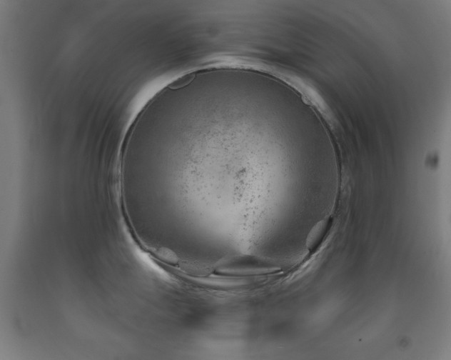 X0000093261247200709261725